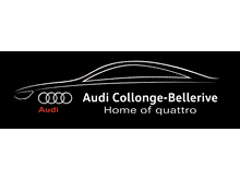 Centre Audi Collonge-Bellerive