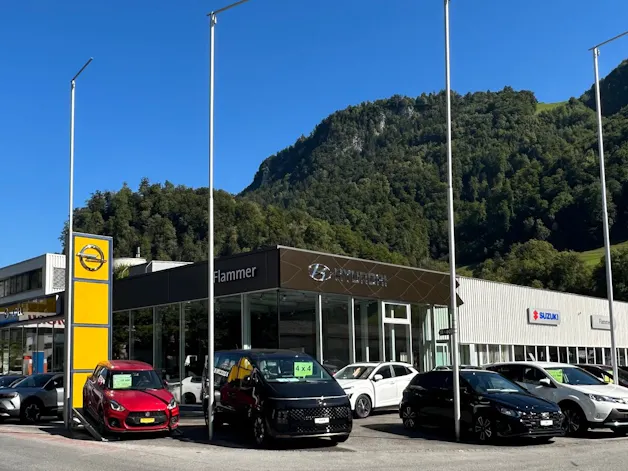 Flammer Glarus AG