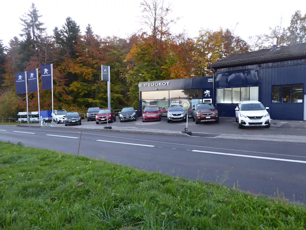Garage Raemy AG