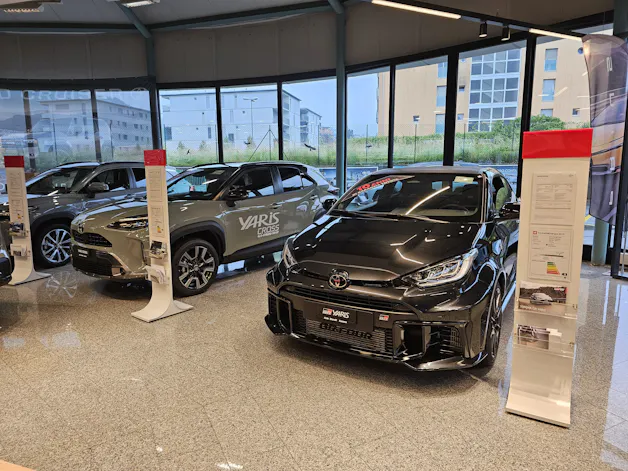 Auto Storelli Ascona - Auto Luserte Quartino  (Sant'Antonio Car SA)
