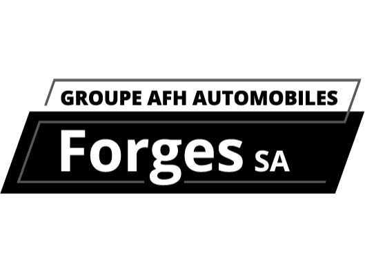 Groupe AFH Automobiles Forges SA
