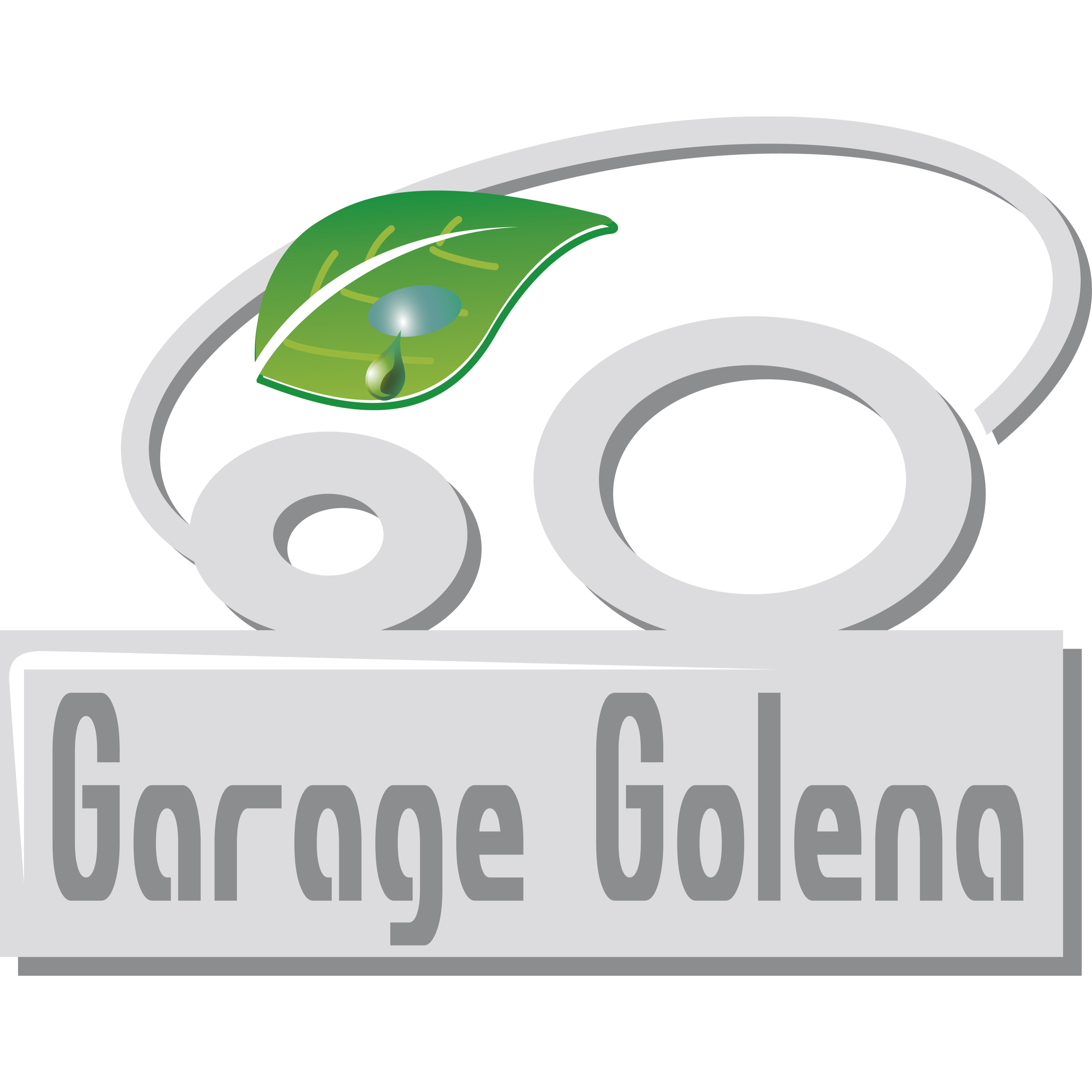 Nuovo Garage Golena SA