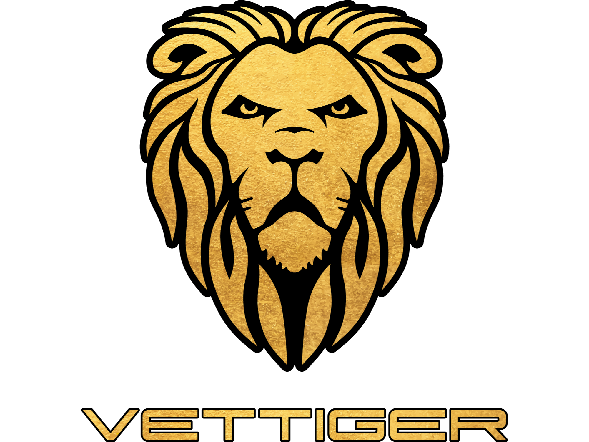 Vettiger Automobile AG