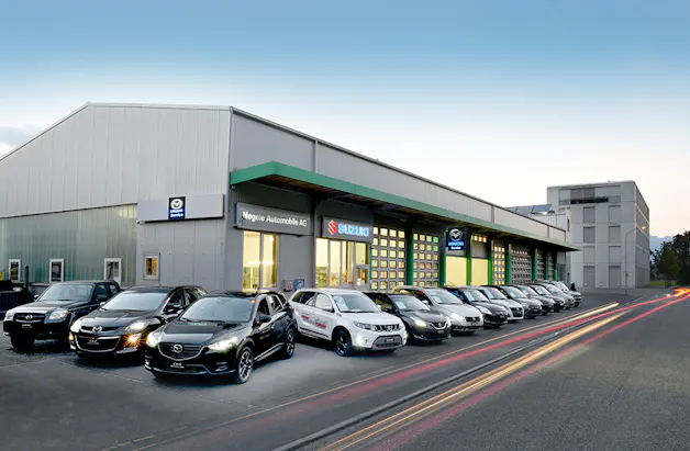 Negele Automobile AG
