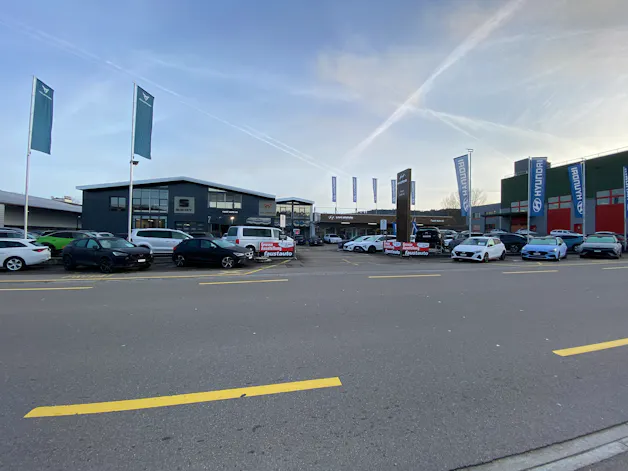 Faust Auto AG