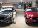 Auto Pianezzi SA