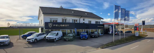 Wyland Garage GmbH