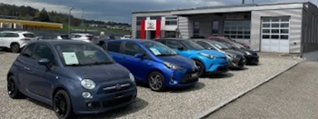 Auto Schmid Sins AG