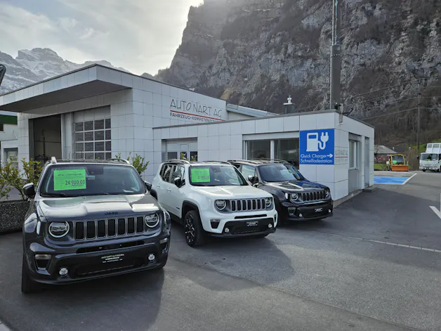 AUTO NART AG