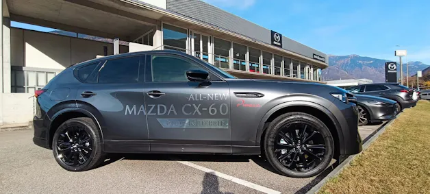 Auto Pianezzi SA