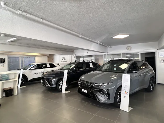 Garage Brender SA