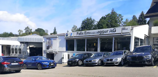Felix Emmenegger AG Hettenschwil