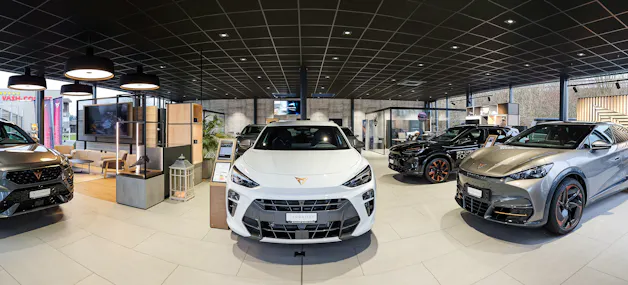 Garage Blaser AG