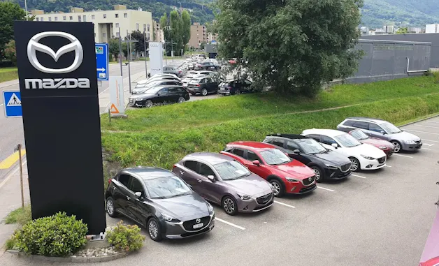 Auto Pianezzi SA