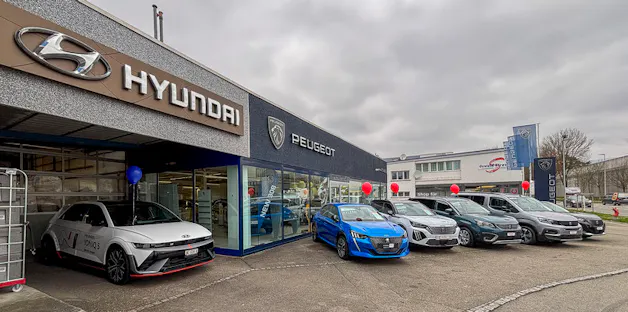 Auto Faes AG / Auto MPS GmbH